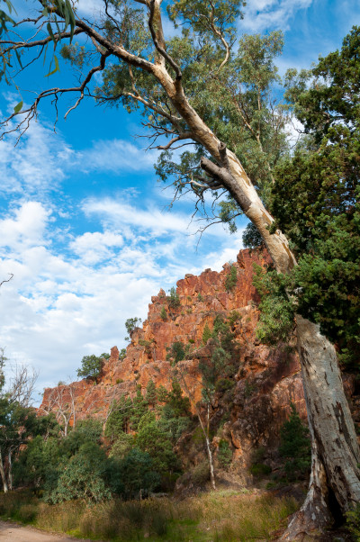 20110419-0426.jpg
