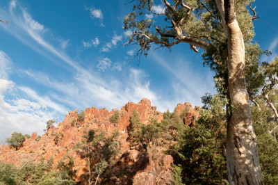 20110419-0438.jpg