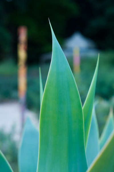 20110422-0578.jpg