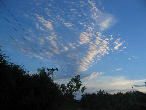 20040131-0045_v1.jpg