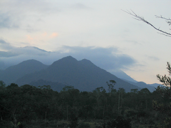 20031123-0052.jpg