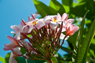 20100409-0269.jpg
