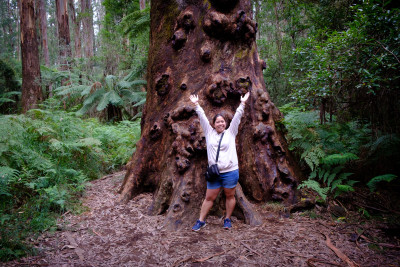 Dandenong Ranges 2023