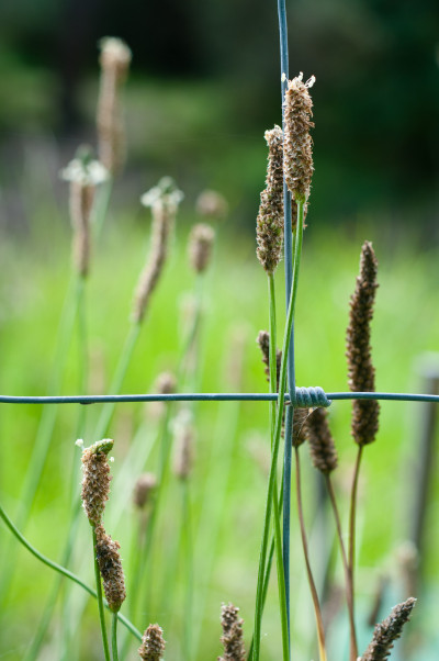 20110327-0110.jpg