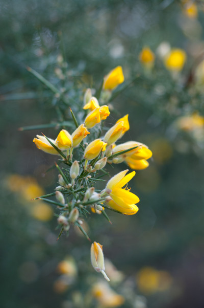 20110327-0142.jpg