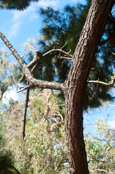 20110327-0152.jpg