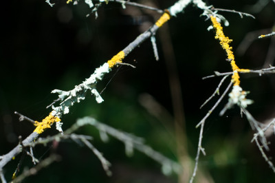 20110327-0158.jpg