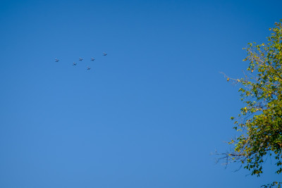 20230402-0056.jpg