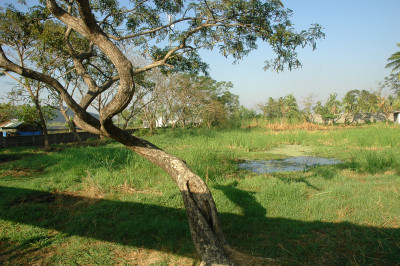 20070211-0007.jpg