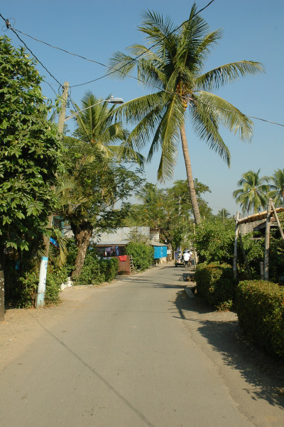 20070211-0092.jpg
