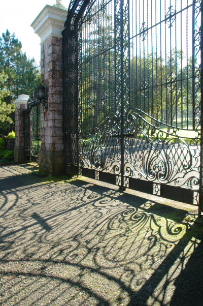 20061106-0034.jpg