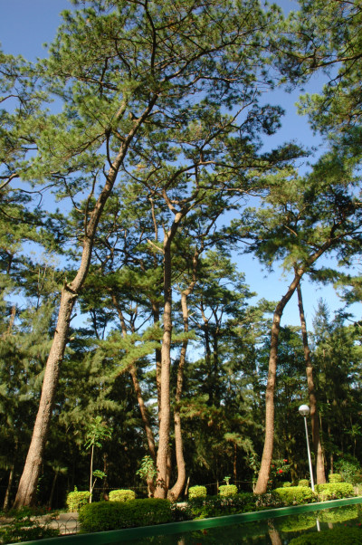20061106-0048.jpg