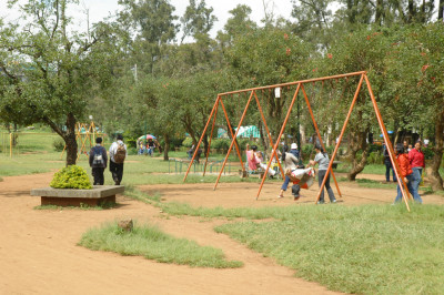 20061106-0115.jpg
