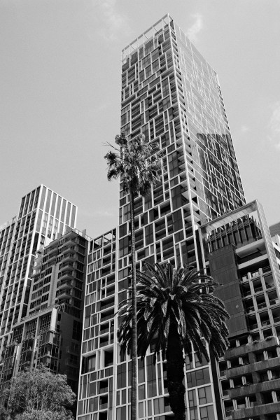 20241029-0066.jpg