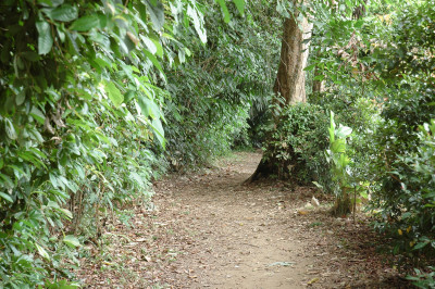 20091213-0120.jpg
