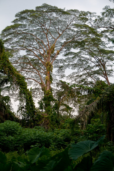 20100307-0300