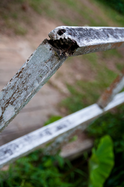 20100307-0308.jpg