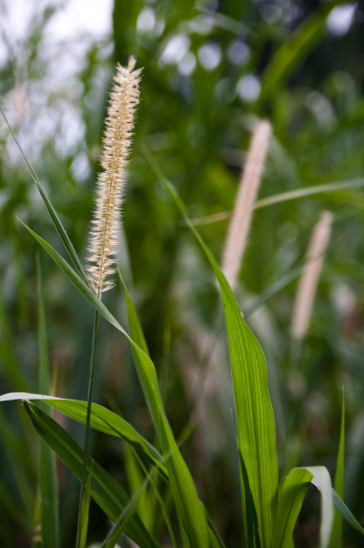 20100307-0364.jpg