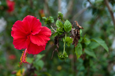20100307-0372.jpg