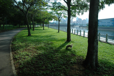 20051030-0045.jpg