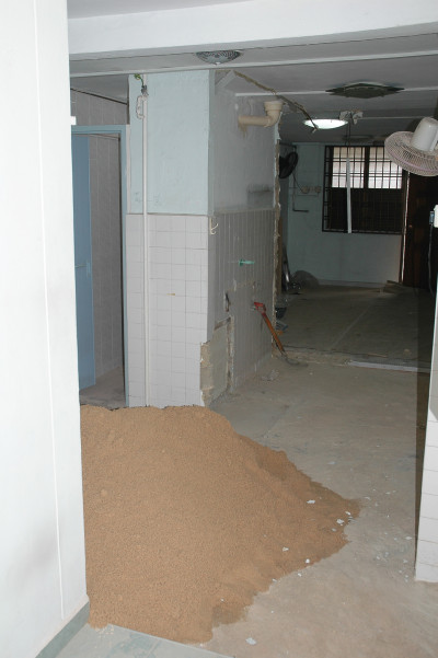 20051109-0010.jpg