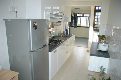20060304-0005.jpg
