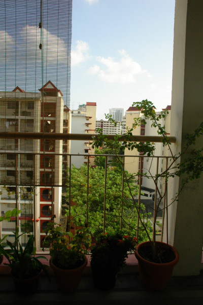 20060304-0023.jpg