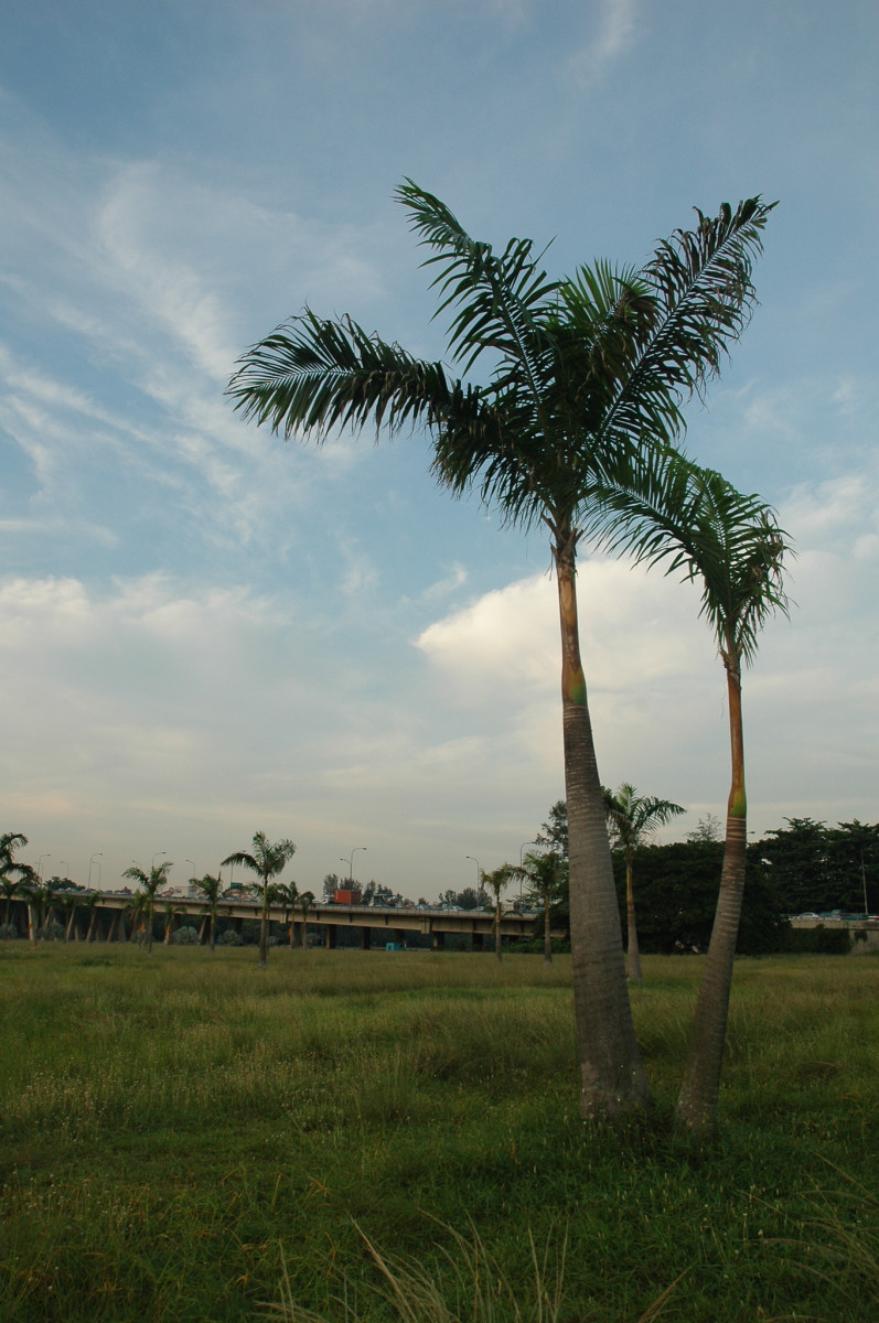 20050425-0013