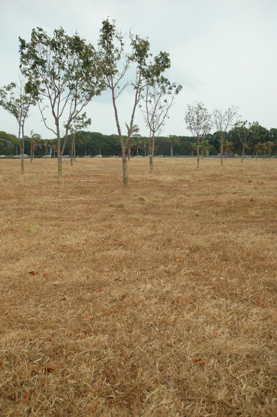 20050224-0017.jpg