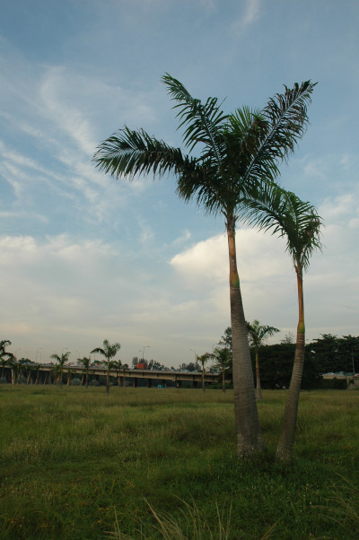 20050425-0013.jpg