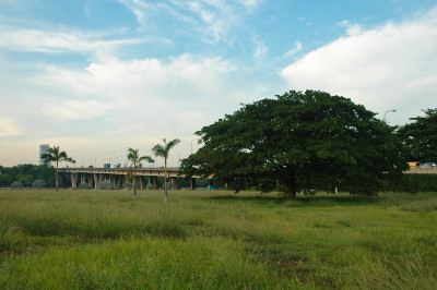 20050425-0015.jpg
