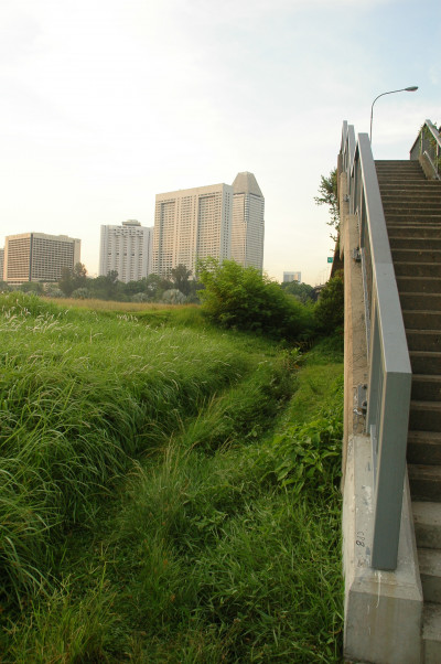20050425-0019.jpg