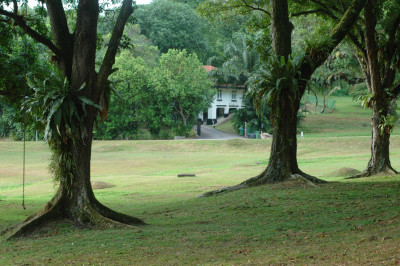 20090127-0154.jpg