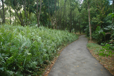 20090127-0159.jpg