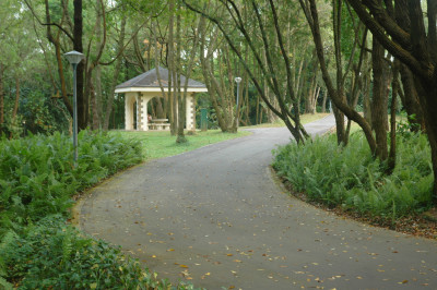 20090127-0160.jpg