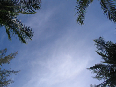 20041128-0007.jpg