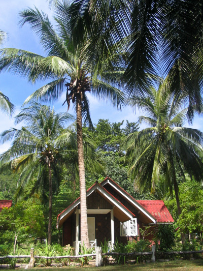 20041128-0008.jpg