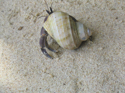 20041128-0027.jpg