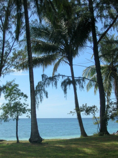 20041129-0002.jpg