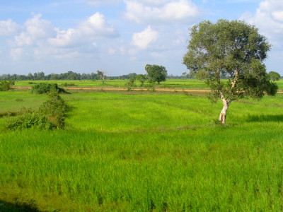 20041201-0008.jpg