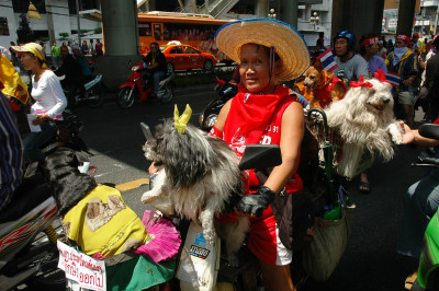 20060326-0091.jpg